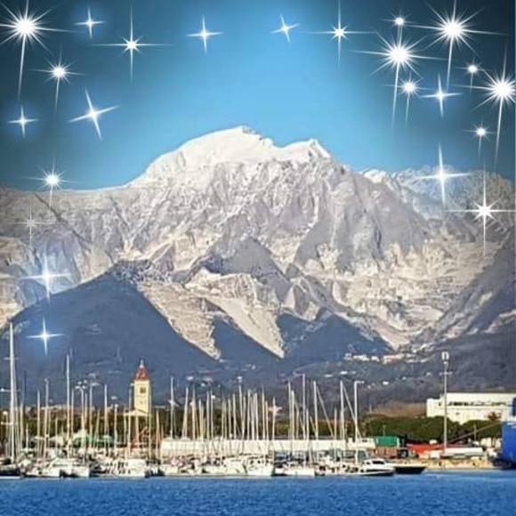 Meet your Posher, Laura - Picture 1 of 1